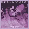 Dreamwheel - Wild Days - Single